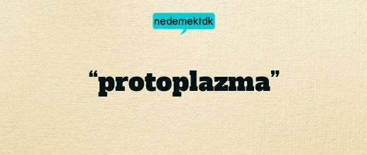 “protoplazma”
