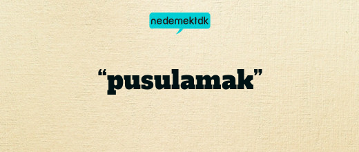 “pusulamak”